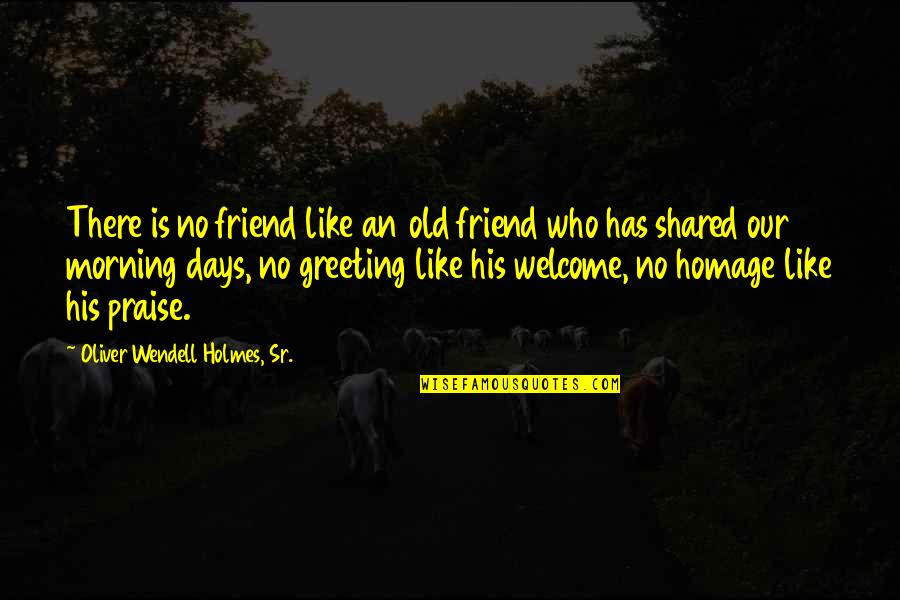 Greeting For Morning Quotes By Oliver Wendell Holmes, Sr.: There is no friend like an old friend