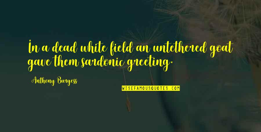 Greeting Quotes By Anthony Burgess: In a dead white field an untethered goat