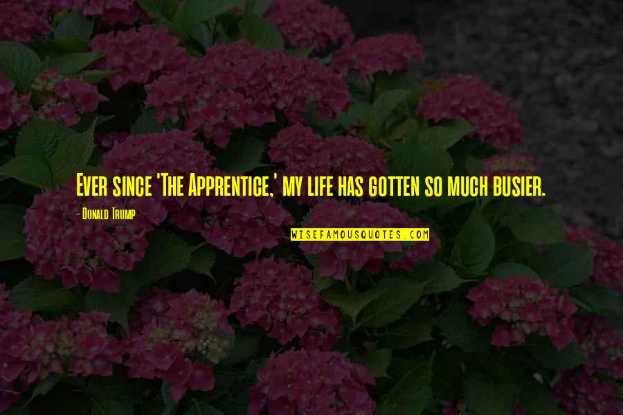 Grefe Excavating Quotes By Donald Trump: Ever since 'The Apprentice,' my life has gotten