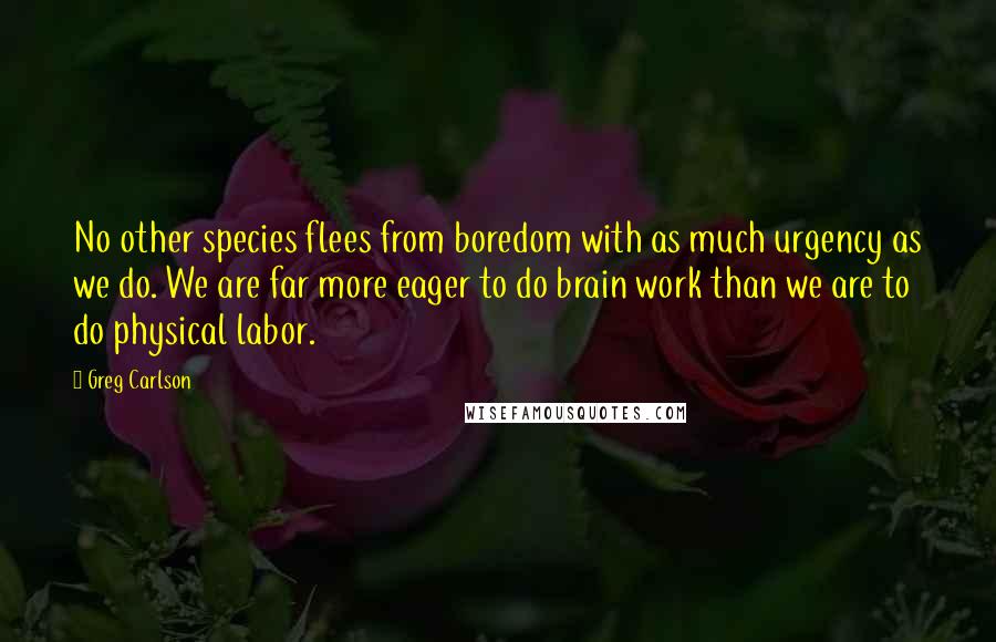 Greg Carlson quotes: No other species flees from boredom with as much urgency as we do. We are far more eager to do brain work than we are to do physical labor.