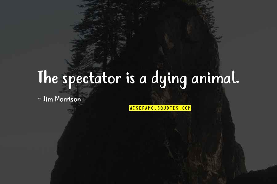 Greg Hickman Quotes By Jim Morrison: The spectator is a dying animal.