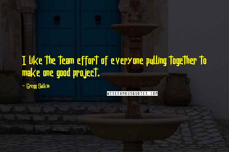 Gregg Sulkin quotes: I like the team effort of everyone pulling together to make one good project.