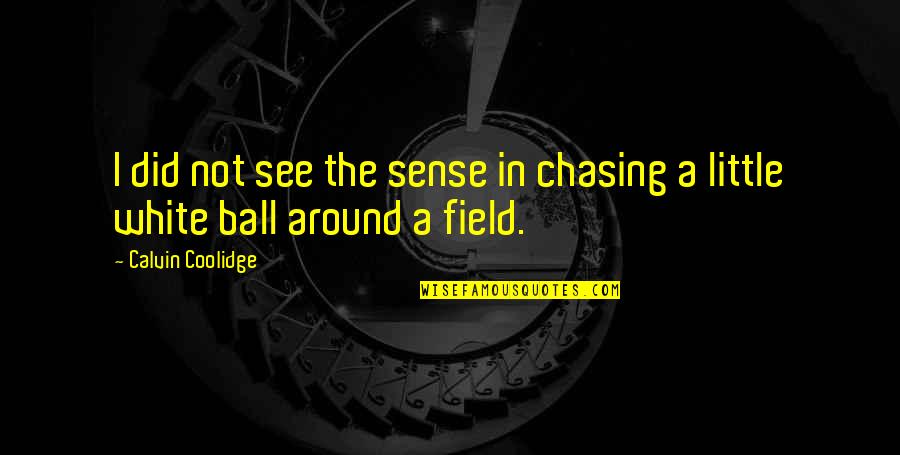 Gregmartinstudios Quotes By Calvin Coolidge: I did not see the sense in chasing