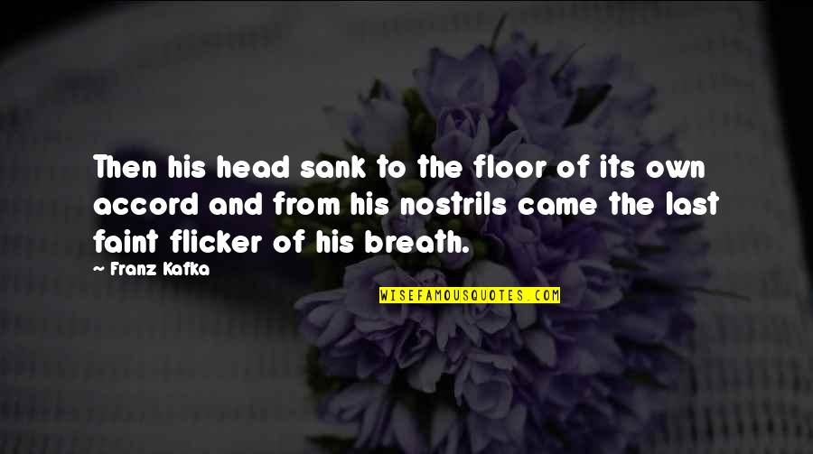 Gregor Quotes By Franz Kafka: Then his head sank to the floor of