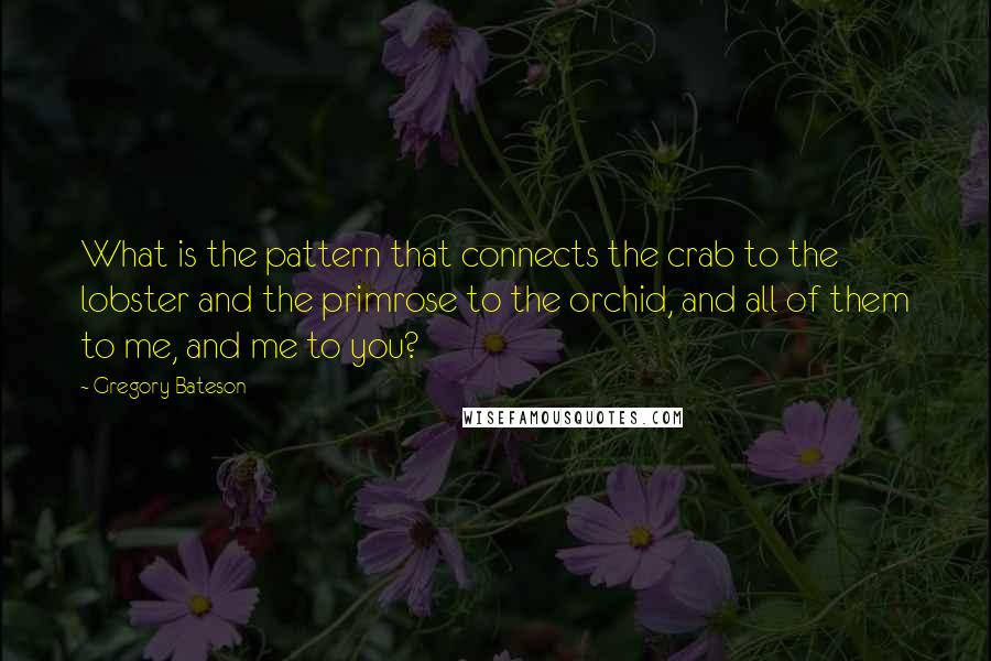Gregory Bateson quotes: What is the pattern that connects the crab to the lobster and the primrose to the orchid, and all of them to me, and me to you?