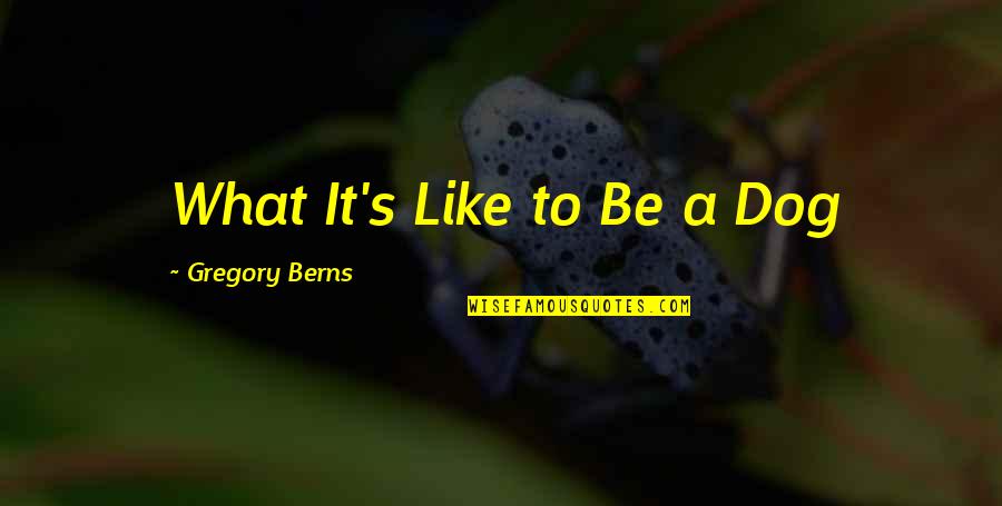 Gregory Berns Quotes By Gregory Berns: What It's Like to Be a Dog