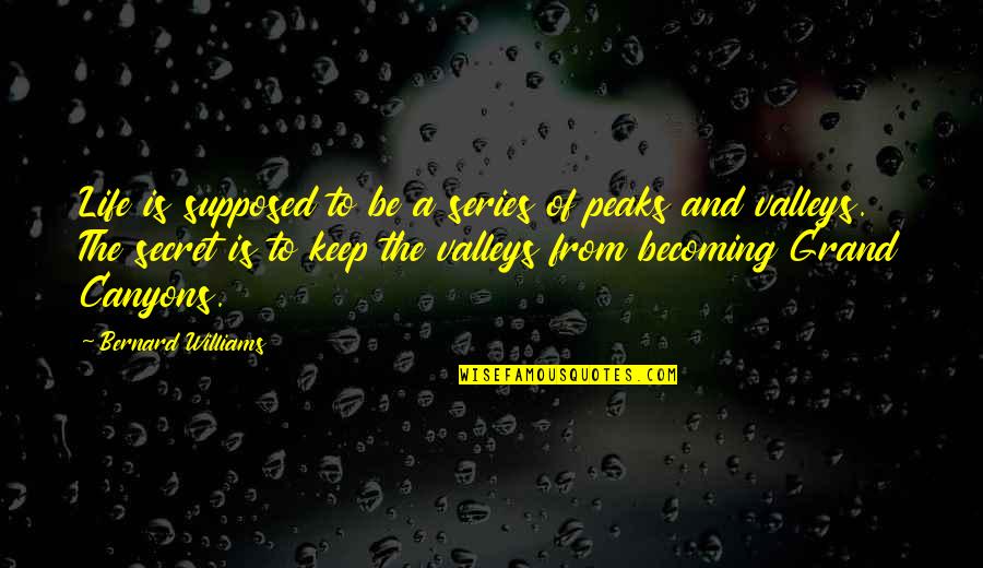 Gregory Koukl Quotes By Bernard Williams: Life is supposed to be a series of