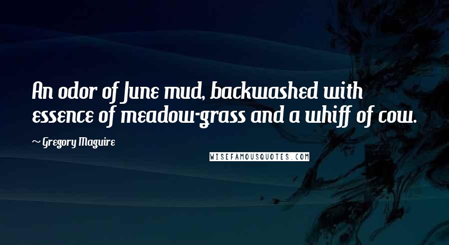 Gregory Maguire quotes: An odor of June mud, backwashed with essence of meadow-grass and a whiff of cow.