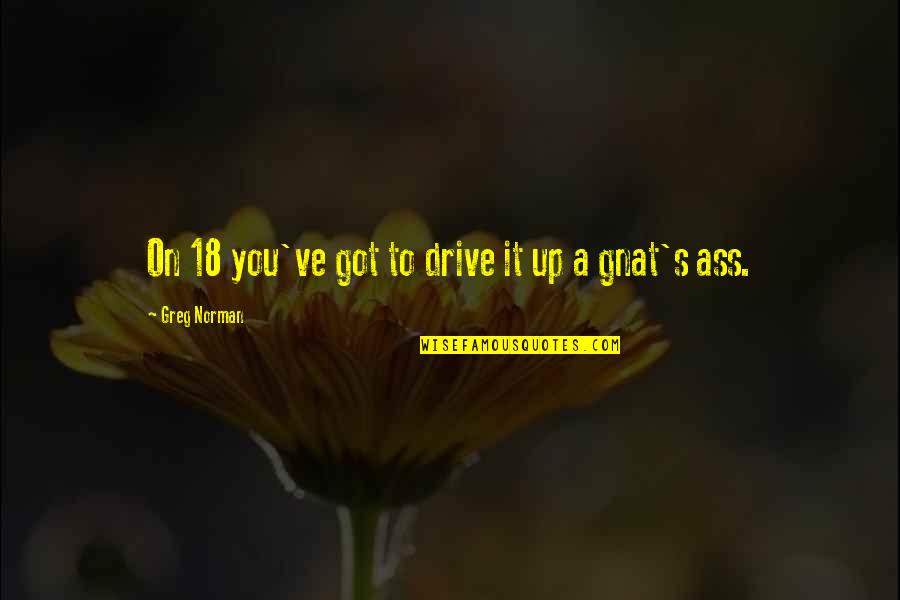 Greg's Quotes By Greg Norman: On 18 you've got to drive it up Greg's Quotes By Greg Norman: On 18 you've got to drive it up