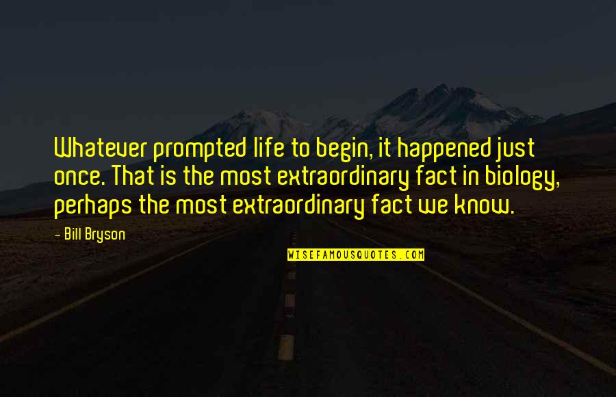 Gregus Minnesota Quotes By Bill Bryson: Whatever prompted life to begin, it happened just