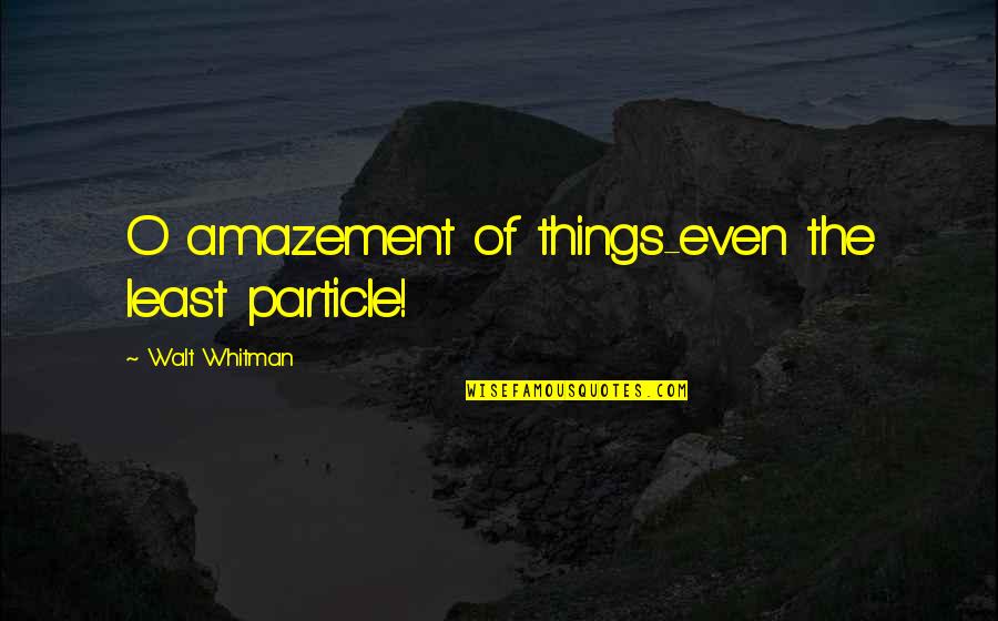 Grehunter Quotes By Walt Whitman: O amazement of things-even the least particle!