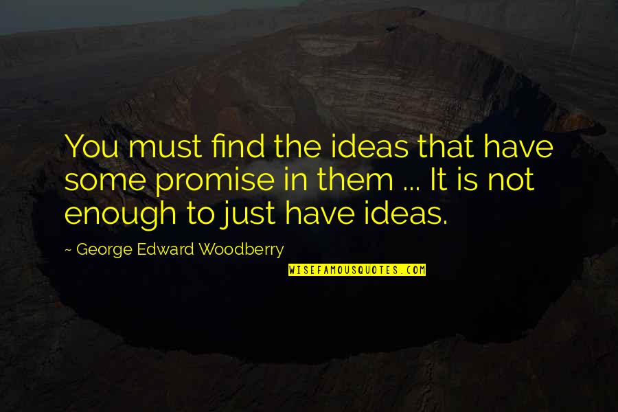 Greisinger Electronic Quotes By George Edward Woodberry: You must find the ideas that have some