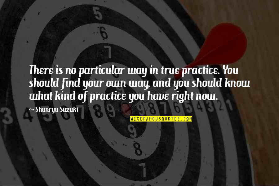 Grelen Quotes By Shunryu Suzuki: There is no particular way in true practice.