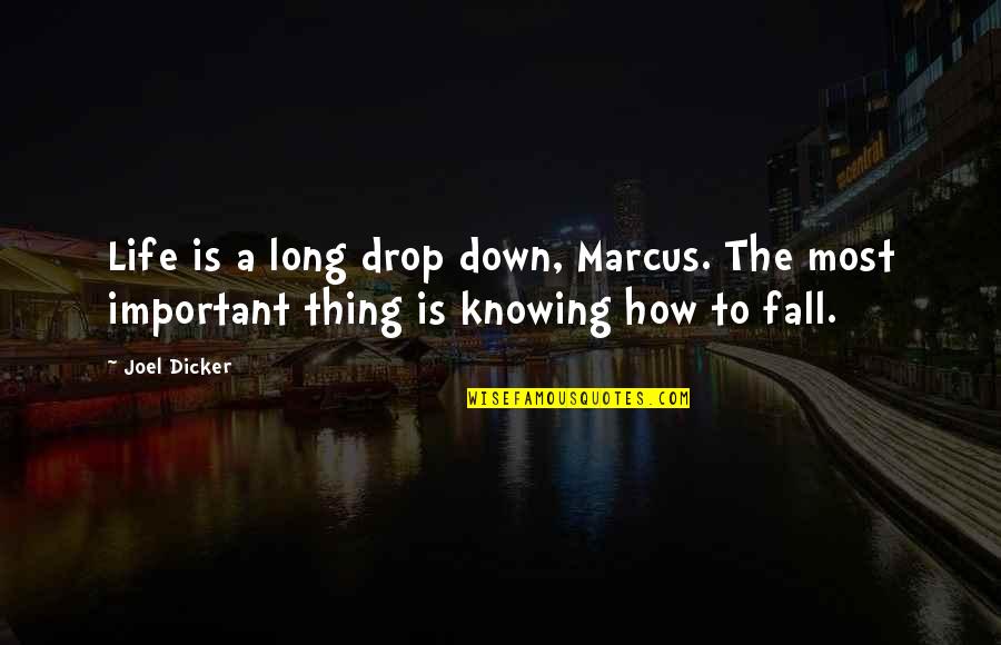 Grenades World Quotes By Joel Dicker: Life is a long drop down, Marcus. The