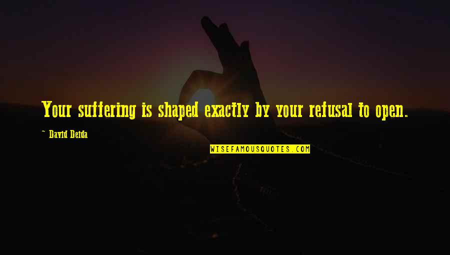 Greneey Quotes By David Deida: Your suffering is shaped exactly by your refusal