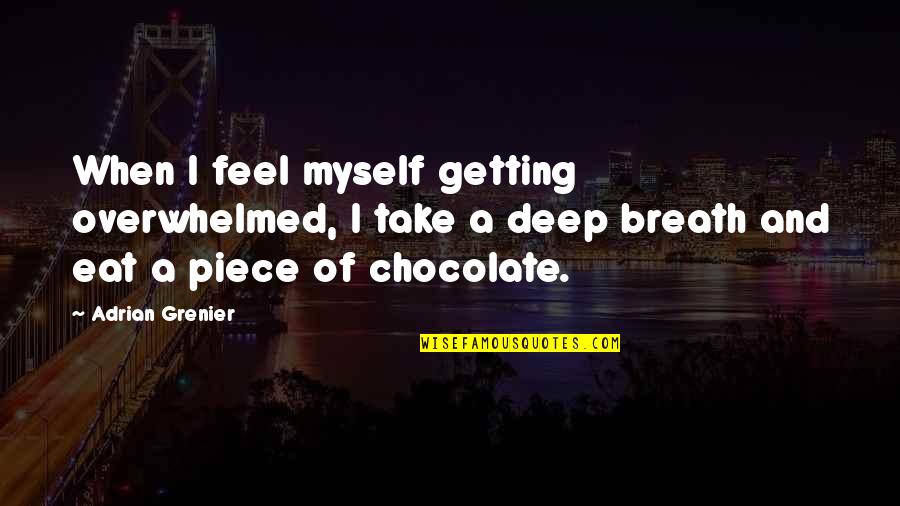 Grenier Quotes By Adrian Grenier: When I feel myself getting overwhelmed, I take