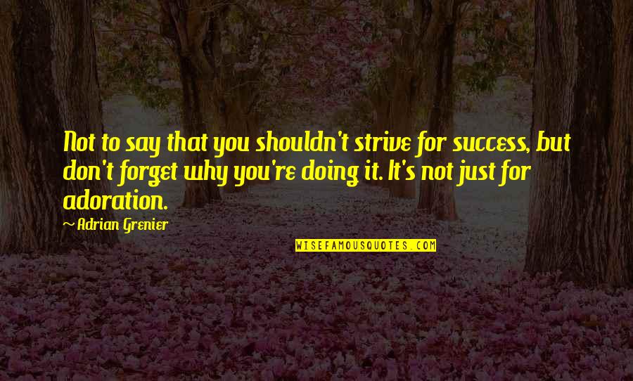 Grenier Quotes By Adrian Grenier: Not to say that you shouldn't strive for