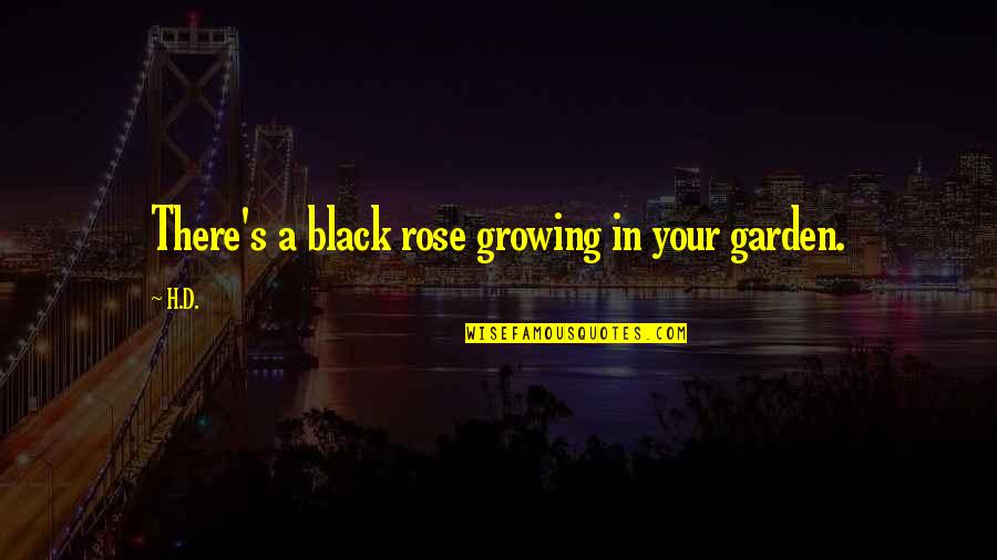 Grenyess Quotes By H.D.: There's a black rose growing in your garden.