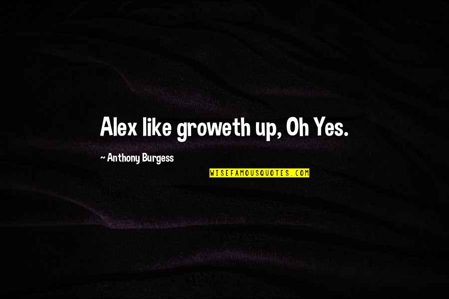 Grenzenlos Aschaffenburg Quotes By Anthony Burgess: Alex like groweth up, Oh Yes.