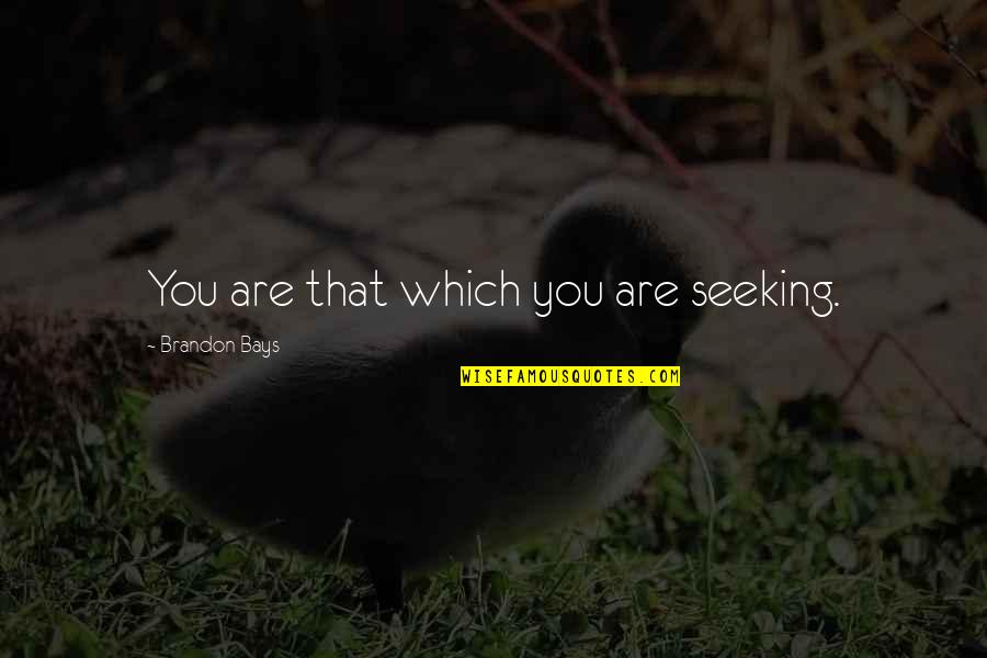 Grenzenlosci Quotes By Brandon Bays: You are that which you are seeking. Grenzenlosci Quotes By Brandon Bays: You are that which you are seeking.