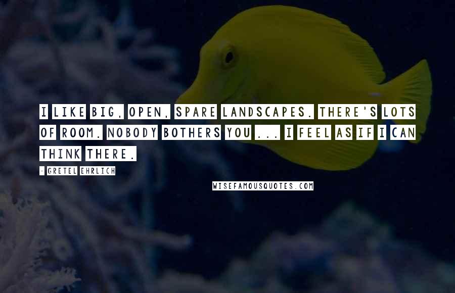 Gretel Ehrlich quotes: I like big, open, spare landscapes. There's lots of room. Nobody bothers you ... I feel as if I can think there. Gretel Ehrlich quotes: I like big, open, spare landscapes. There's lots of room. Nobody bothers you ... I feel as if I can think there.