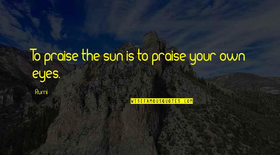 Grethe Barrett Quotes By Rumi: To praise the sun is to praise your