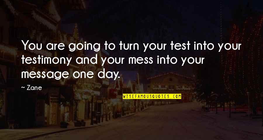 Grevelingenhout Quotes By Zane: You are going to turn your test into