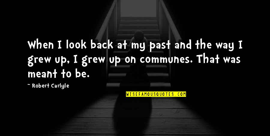 Grew Quotes By Robert Carlyle: When I look back at my past and