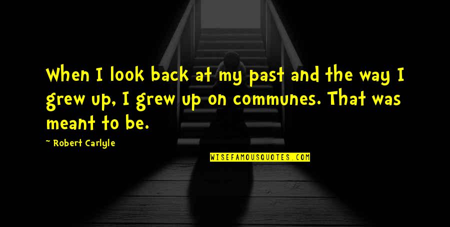 Grew Up Quotes By Robert Carlyle: When I look back at my past and