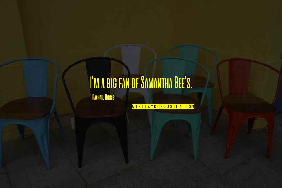 Greweling Quotes By Rachael Harris: I'm a big fan of Samantha Bee's. Greweling Quotes By Rachael Harris: I'm a big fan of Samantha Bee's.