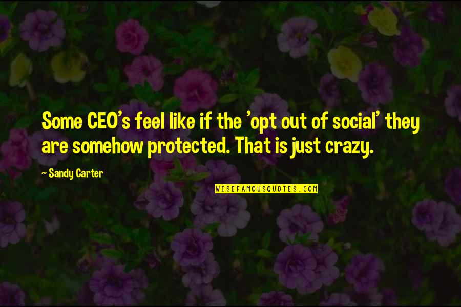 Grey Anatomy Meredith And Cristina You're My Person Quotes By Sandy Carter: Some CEO's feel like if the 'opt out