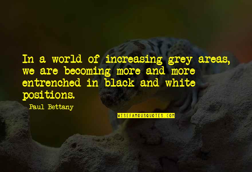 Grey And Black Quotes By Paul Bettany: In a world of increasing grey areas, we