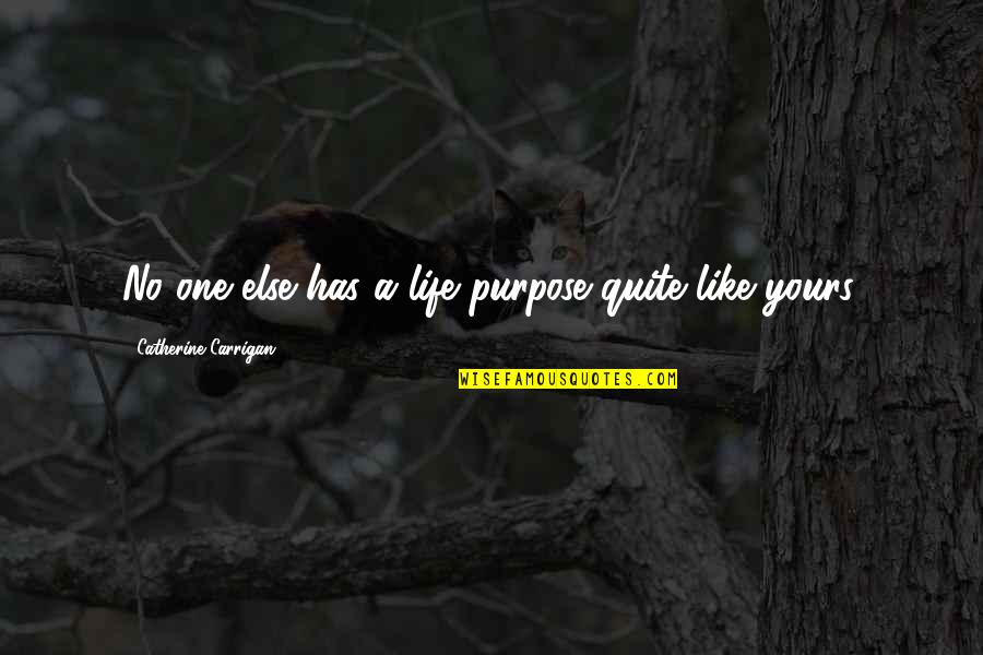 Grey El James Quotes By Catherine Carrigan: No one else has a life purpose quite