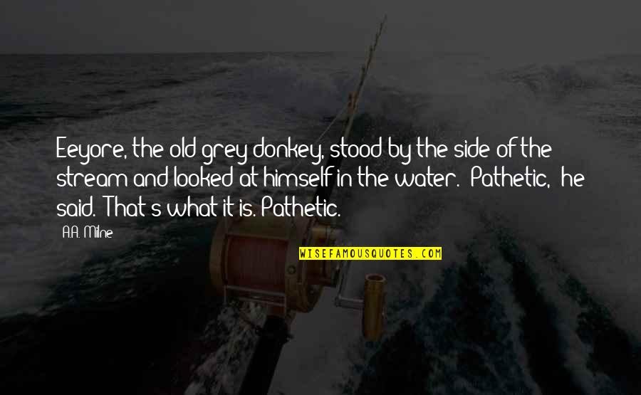 Grey Water Quotes By A.A. Milne: Eeyore, the old grey donkey, stood by the