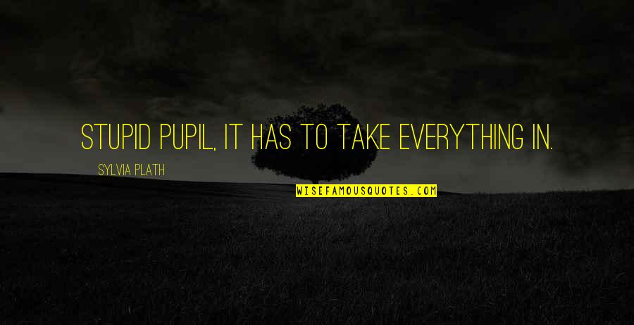 Greyback Fire Quotes By Sylvia Plath: Stupid pupil, it has to take everything in. Greyback Fire Quotes By Sylvia Plath: Stupid pupil, it has to take everything in.