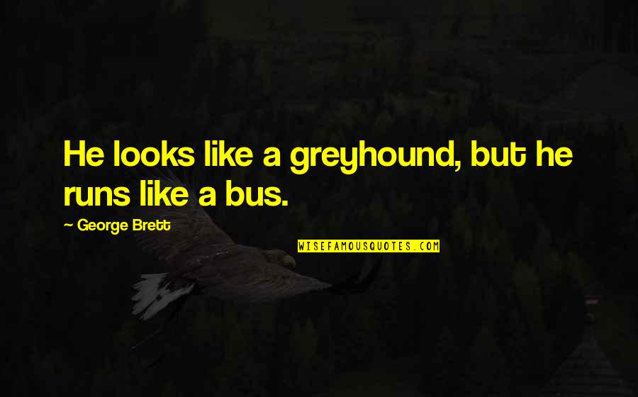Greyhound Bus Quotes By George Brett: He looks like a greyhound, but he runs Greyhound Bus Quotes By George Brett: He looks like a greyhound, but he runs