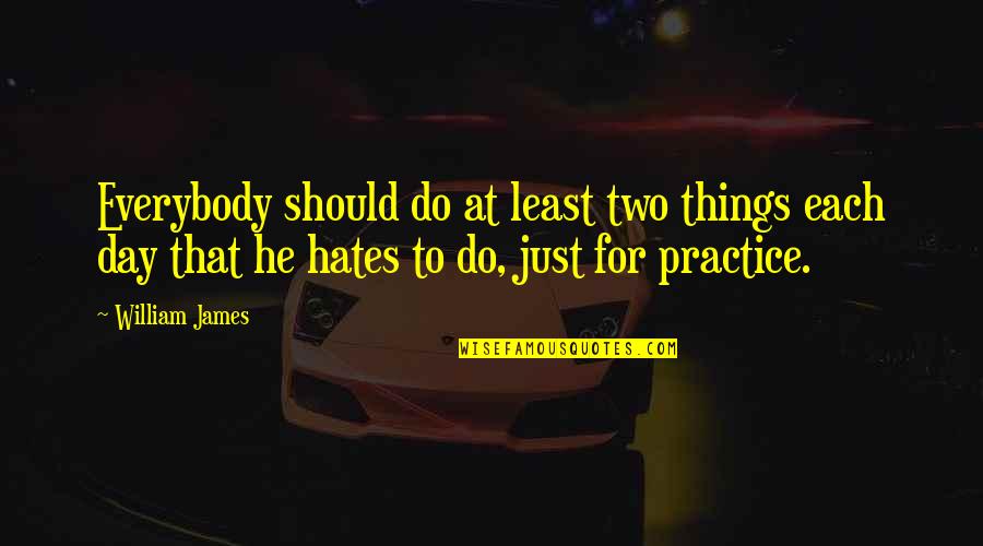 Grey's Anatomy 2x16 Quotes By William James: Everybody should do at least two things each