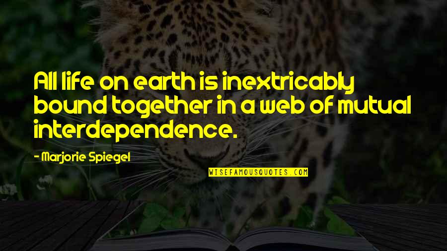 Grey's Anatomy 6x12 Quotes By Marjorie Spiegel: All life on earth is inextricably bound together