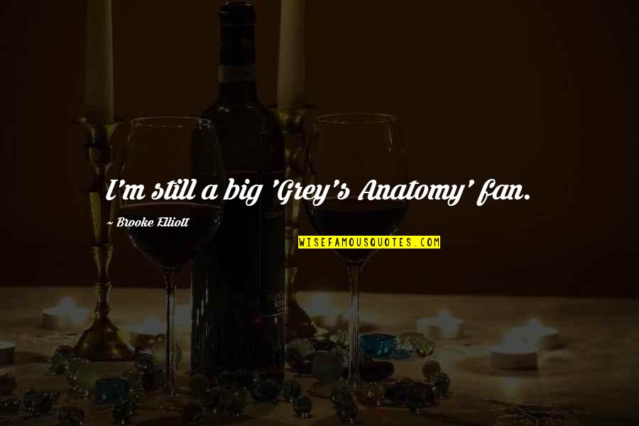 Grey's Anatomy Quotes By Brooke Elliott: I'm still a big 'Grey's Anatomy' fan. Grey's Anatomy Quotes By Brooke Elliott: I'm still a big 'Grey's Anatomy' fan.