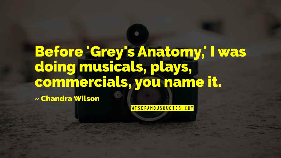 Grey's Anatomy Quotes By Chandra Wilson: Before 'Grey's Anatomy,' I was doing musicals, plays,