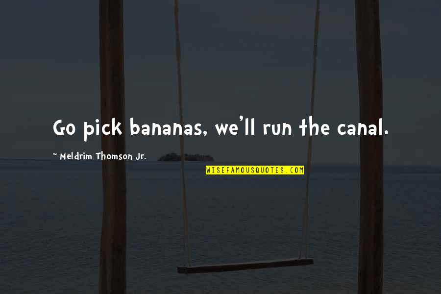 Grey's Anatomy Season 9 Episode 19 Quotes By Meldrim Thomson Jr.: Go pick bananas, we'll run the canal.