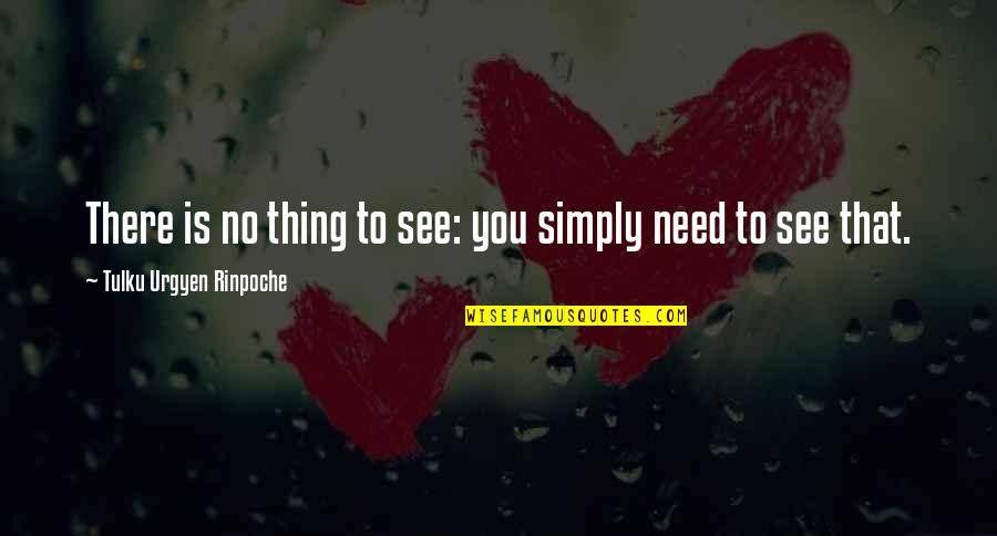 Grey's Anatomy Suddenly Quotes By Tulku Urgyen Rinpoche: There is no thing to see: you simply Grey's Anatomy Suddenly Quotes By Tulku Urgyen Rinpoche: There is no thing to see: you simply