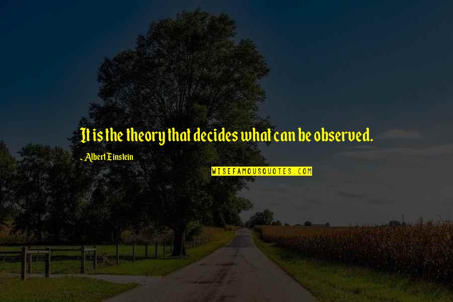 Greysmith Equipment Quotes By Albert Einstein: It is the theory that decides what can
