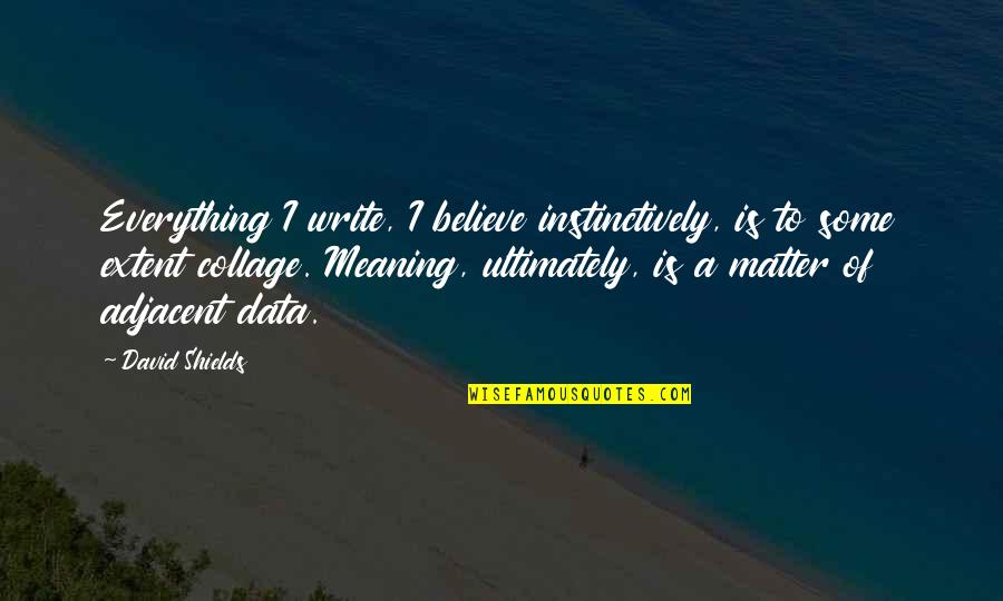 Grgurich Quotes By David Shields: Everything I write, I believe instinctively, is to Grgurich Quotes By David Shields: Everything I write, I believe instinctively, is to