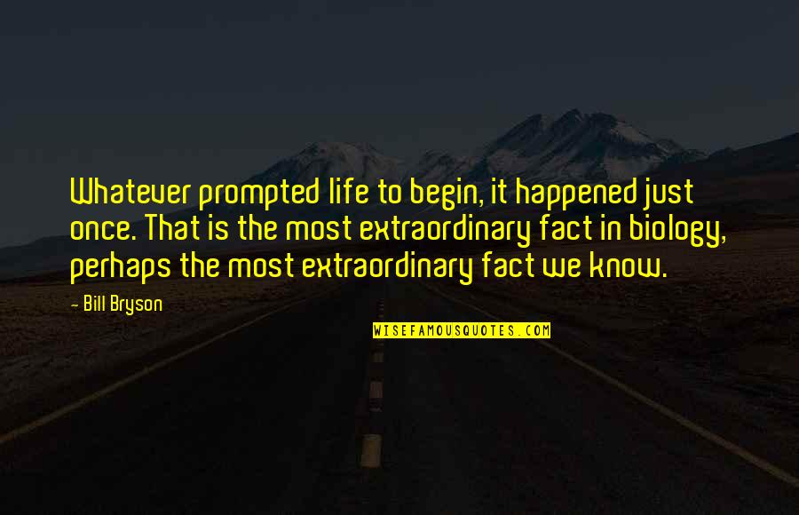 Gricean Principles Quotes By Bill Bryson: Whatever prompted life to begin, it happened just