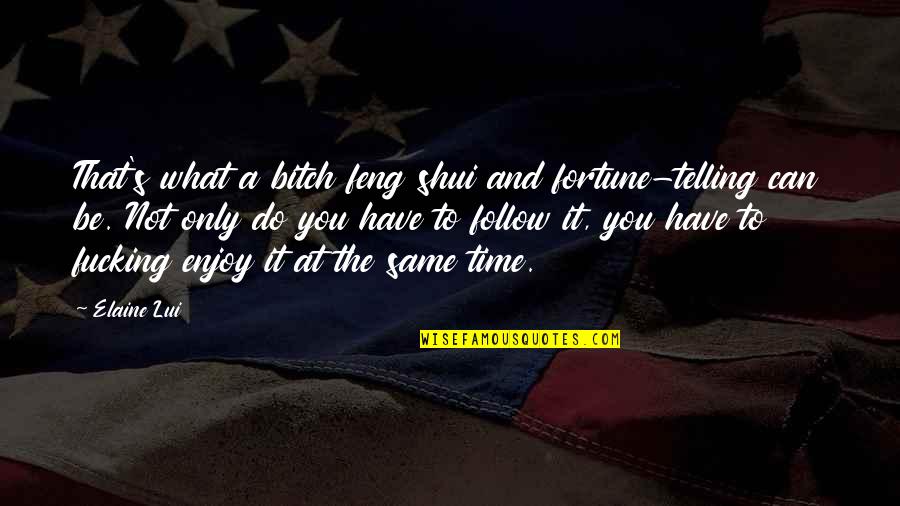 Griddle Cakes Quotes By Elaine Lui: That's what a bitch feng shui and fortune-telling