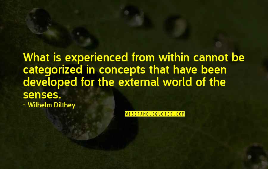 Gridiron Gang Quotes By Wilhelm Dilthey: What is experienced from within cannot be categorized