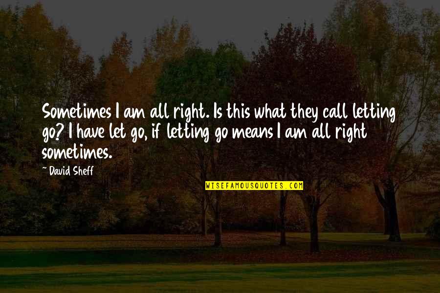 Grief And Acceptance Quotes By David Sheff: Sometimes I am all right. Is this what