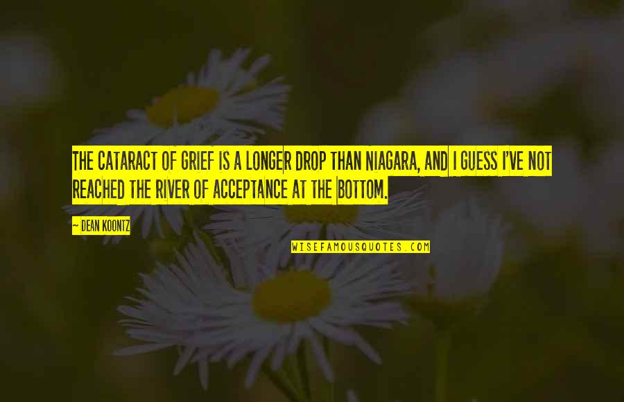 Grief And Acceptance Quotes By Dean Koontz: The cataract of grief is a longer drop Grief And Acceptance Quotes By Dean Koontz: The cataract of grief is a longer drop