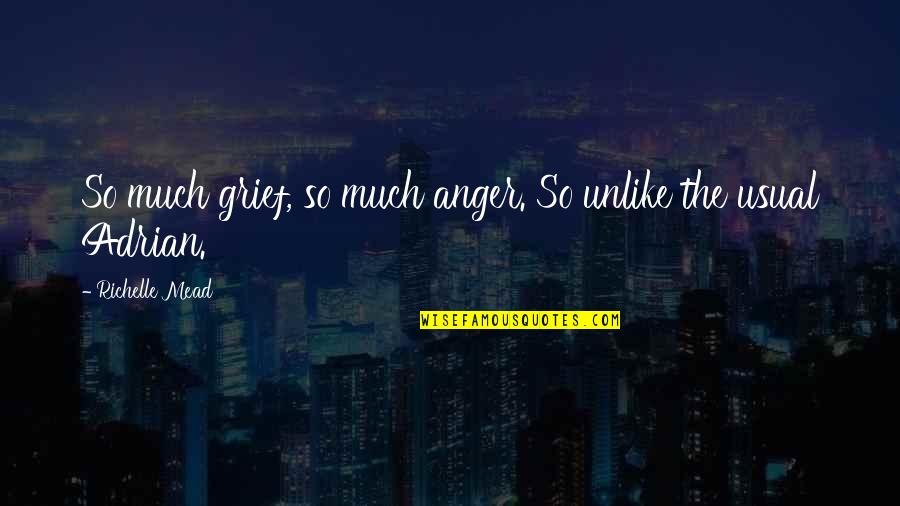 Grief And Anger Quotes By Richelle Mead: So much grief, so much anger. So unlike